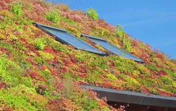 Moorside living roof systems